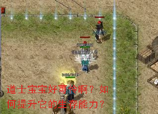 ��ʿ�����ÿ����������������������������