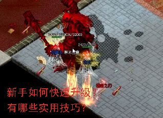 ������ο�������������Щʵ�ü��ɣ�