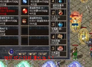 ��γɹ���ս�������ˣ�