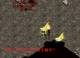 �������㼶��ʦ����ȫ������