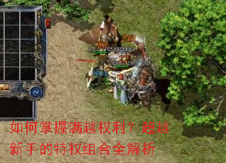 ���������ԽȨ������Խ���ֵ���Ȩ���ȫ����