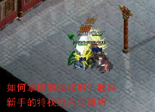 ���������ԽȨ������Խ���ֵ���Ȩ���ȫ����