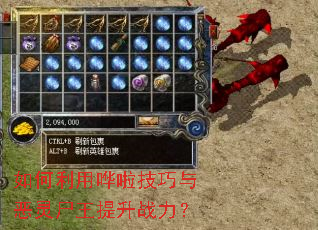 ������û������������ʬ������ս����