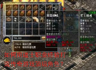 ����õ�ʿְҵ������촫����Ϸ������ɫ��