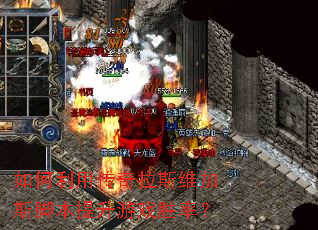 ������ô�����˹ά��˹�ű�������Ϸʤ�ʣ�