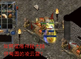 ����������ش�½����԰�����ƿߣ�