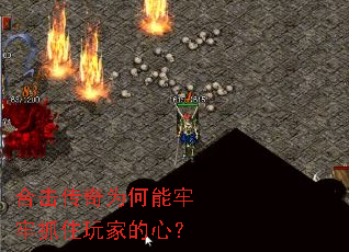 �ϻ�����Ϊ��������ץס��ҵ��ģ�