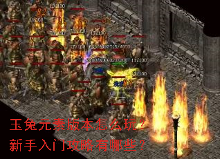 玉兔元素版本怎么玩?新手入门攻略有哪些? 玉兔元素版本怎么玩?新手入门攻略有哪些?