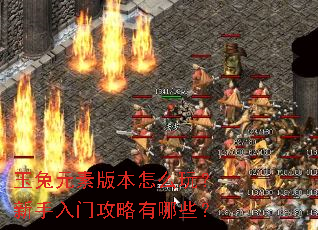 玉兔元素版本怎么玩?新手入门攻略有哪些? 玉兔元素版本怎么玩?新手入门攻略有哪些?