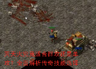 ����𾿾��ʺ�Ⱥ�����ǵ�����ȫ��������漼��ѡ��