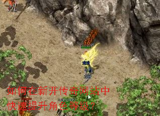 ������¿�������վ�п���������ɫ�ȼ���