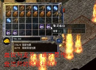 血饮与龙牙,谁才是传奇法师的终极神兵? 血饮与龙牙,谁才是传奇法师的终极神兵?