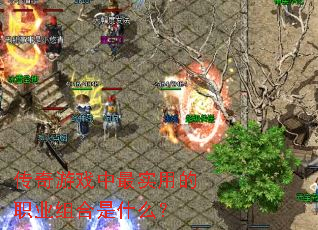 ������Ϸ����ʵ�õ�ְҵ�����ʲô��