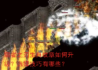 ����֮����Ф�������������ѡ��������Щ��