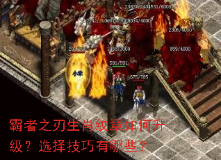 ����֮����Ф�������������ѡ��������Щ��