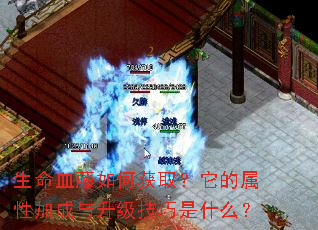 ����Ѫ����λ�ȡ���������Լӳ�������������ʲô��