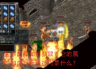 ����Ѫ����λ�ȡ���������Լӳ�������������ʲô��