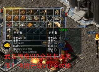 ��ʥ����VIP��Ա��ô��ֵ����������VIPȫ����