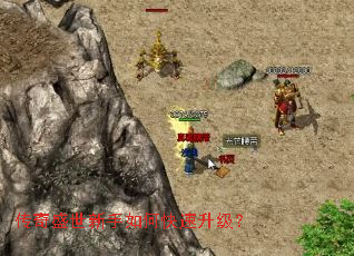 ����ʢ��������ο���������