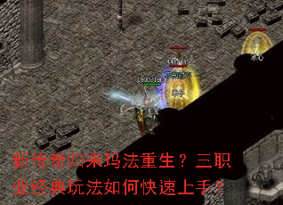 �´�������귨��������ְҵ�����淨��ο������֣�