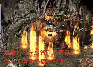 ��Ѫ����˽��������λ�ȡ��������Щ������;��