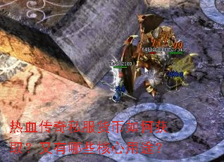 ��Ѫ����˽��������λ�ȡ��������Щ������;��