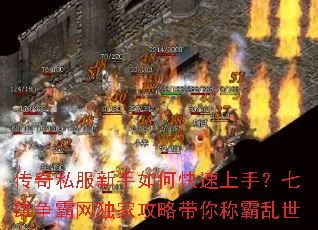 ����˽��������ο������֣��������������ҹ��Դ���ư�����