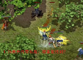 1.76�¿�����˽�����������ҵ���