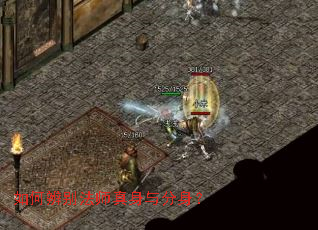 ��α��ʦ�����������