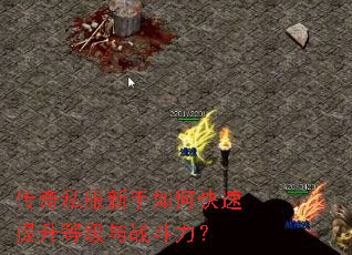 ����˽��������ο��������ȼ���ս������