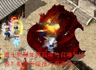 ��ʿ��������ٻ����ٻ�������������������������Щ��