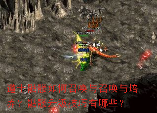 ��ʿ��������ٻ����ٻ�������������������������Щ��