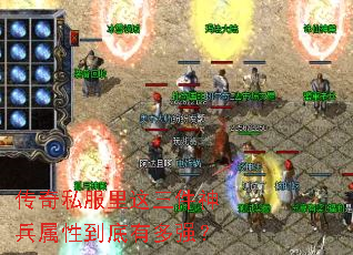 ����˽����������������Ե����ж�ǿ��