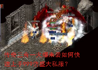 ��������һ����Ϯ��ο�������999��ʢ��˽����