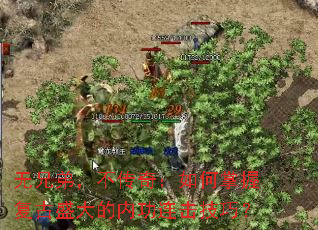 ���ֵܣ������棺������ո���ʢ����ڹ��������ɣ�