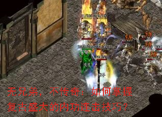 ���ֵܣ������棺������ո���ʢ����ڹ��������ɣ�