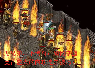 ���ֵܣ������棺������ո���ʢ����ڹ��������ɣ�