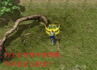 ��ʿ�ڴ����к����ܷ���ǰ��ְҵ��