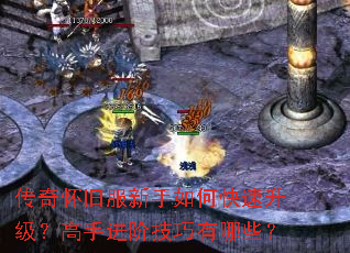 ���滳�ɷ�������ο������������ֽ��׼�������Щ��