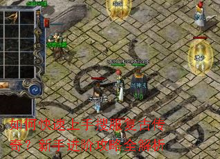 ��ο��������ѷ����Ŵ��棿���ֽ��׹���ȫ����