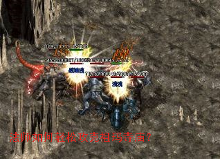 ��ʦ������ɹ�������������