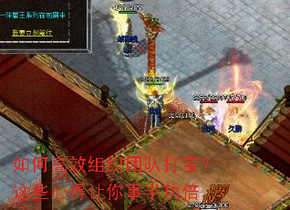 ��θ�Ч��֯�ŶӴ򱦣���Щ�ĵ������°빦��