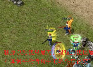 ��ԭ��Ϊ��ֻ������û�뵽��Ҳ���ˣ����ƽ�⴫���е�ս�����罻��