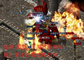 ��ο�������ħ�紫��˽�������ֱؿ�����ָ��