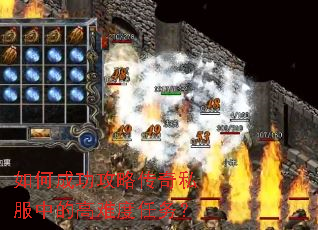 ��γɹ����Դ���˽���еĸ��Ѷ�����