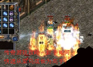 ������Ϸ���ԣ�������ο��ٴӲ���ɳ�Ϊ���֣�