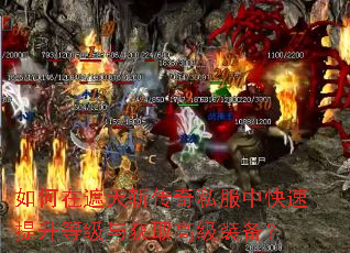 如何在遮天斩传奇私服中快速提升等级与获取高级装备? 如何在遮天斩传奇私服中快速提升等级与获取高级装备?