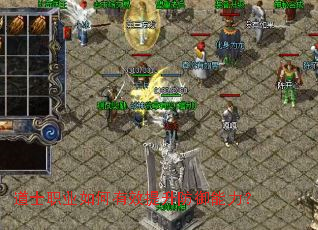 ��ʿְҵ�����Ч��������������