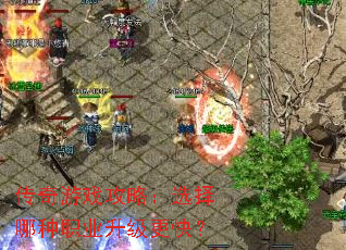 ������Ϸ���ԣ�ѡ������ְҵ�������죿