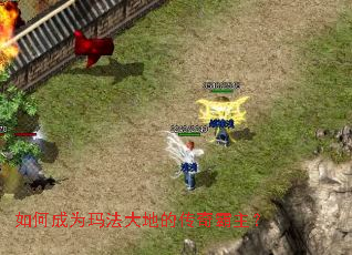 ��γ�Ϊ�귨��صĴ��������